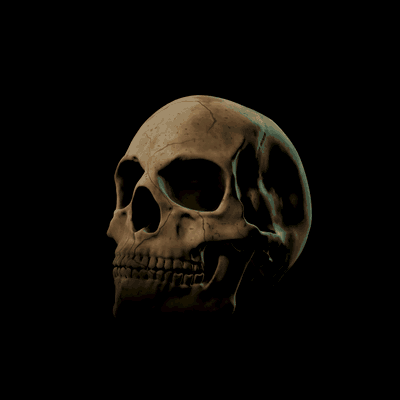 A rotating human skull, lit from the upper left
